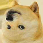 C.Doge