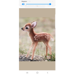 Baby deer group girls only