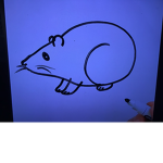 The rat raids group