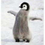 Penguin gamer friends
