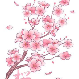 🌸⋰◤