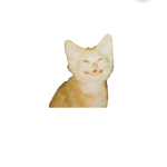 Lil'