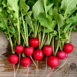 N&N Radish Farm
