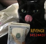 來 REVENGE