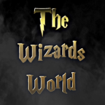 The Wizards World