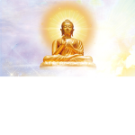 ##超度協會 ######## Transcendence Association