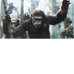 WE BIG MONKEY