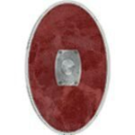 The Vigiles of Rome     