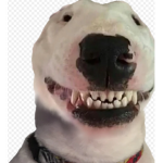 Walter appreciation