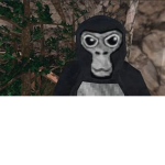dogge XD iS Funs
