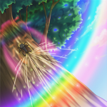 webm