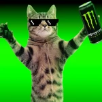 Le Epic Cat Group Thumbnail