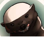 Badgers squad