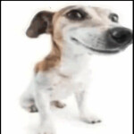 В разработке