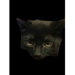 Cat Memorial Studios