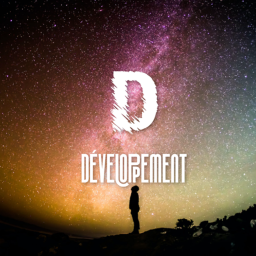 Développement hub