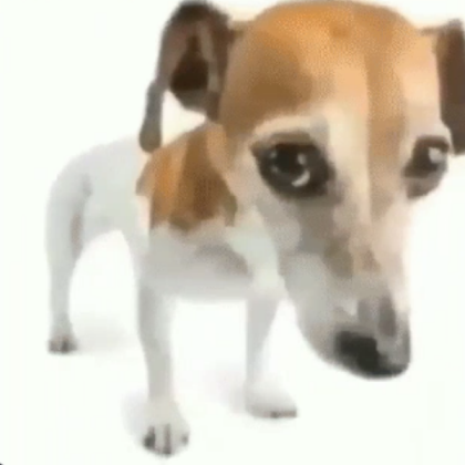 CACHORRO A A FALOU (I, I FOLLOW) dog Roblox decal