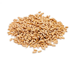 GRAIN MUSH