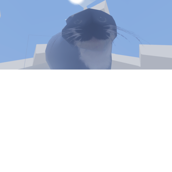 maxwell cat climb