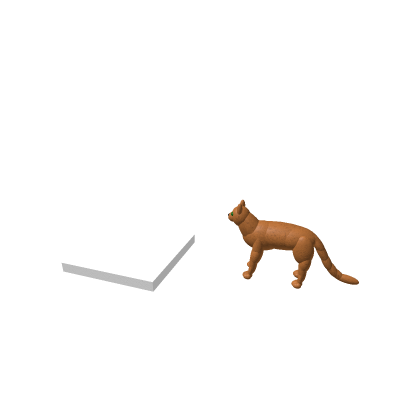 ~Cat Morph~