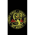 Cobra Kai group.