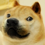 The PuDoge Group