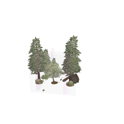 ForestMap