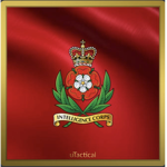 - |BA| - Royal Intelligence Corps -