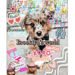 Brookyn’s world