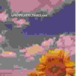 unknown skies