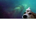 GarlicDoggo