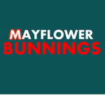 Mayflower Bunnings