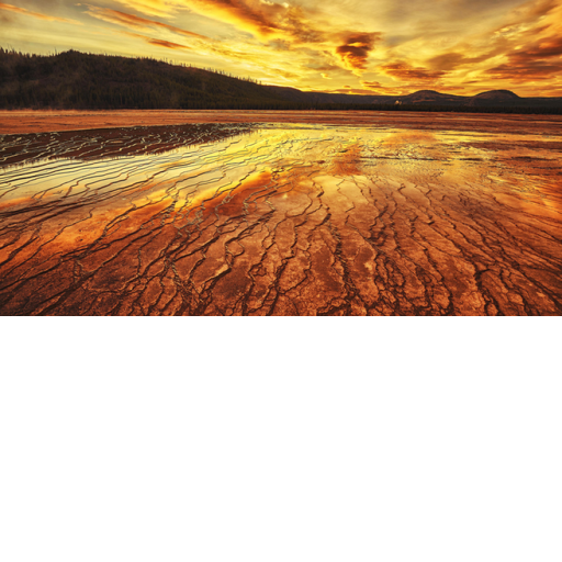 the best ROBLOX game