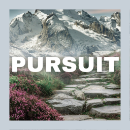 Pursuit
