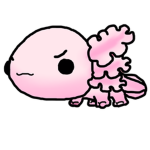 The Axolotl Union