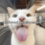 Redwood Developement