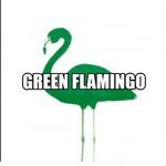 Black flamingo fan club