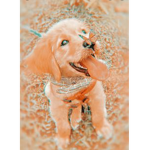 Me do giveaways to all