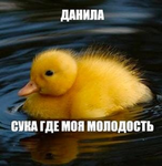 Ducky Development Studio