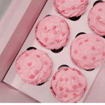Aesthetic Cupcakes!