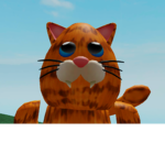 The group for people who love cats