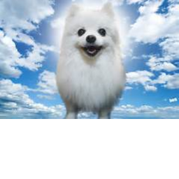RIP Gabe The Dog (Memorial)