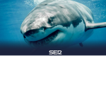 Fabrishark