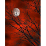 .: blood red sky guard :.