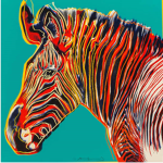 Angels Zebra
