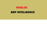 Group BRP Inteligence