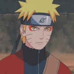 Life Of A Ninja