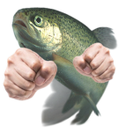 Fishborn