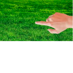Touch Grass
