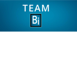 Team bii
